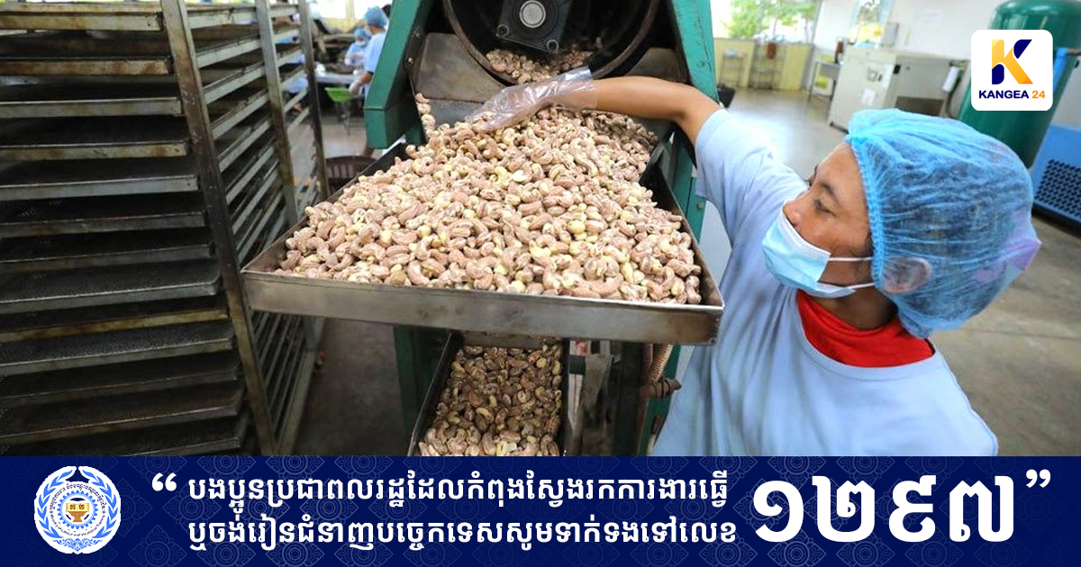 រុស្ស៊ី​ ស្វែង​រក​ឱកាស​វិនិយោគ​លើ​វិស័យ​ស្វាយចន្ទី​​កម្ពុជា​